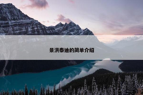 景洪泰迪的简单介绍