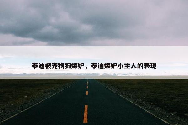 争宠