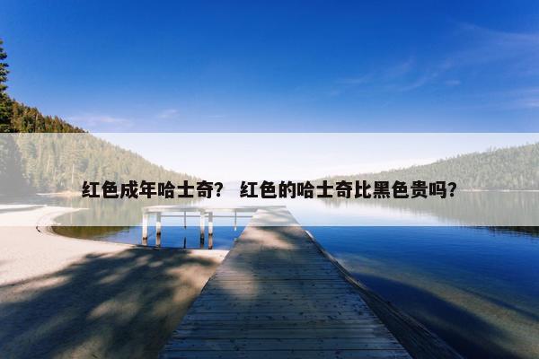 红色成年哈士奇？ 红色的哈士奇比黑色贵吗？