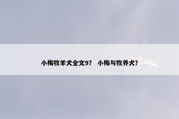 小梅牧羊犬全文9？ 小梅与牧养犬？