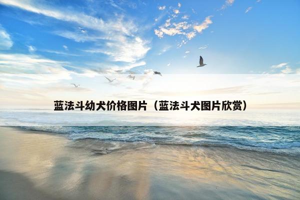 蓝法斗幼犬价格图片（蓝法斗犬图片欣赏）