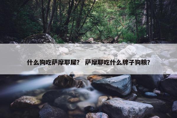 什么狗吃萨摩耶屎？ 萨摩耶吃什么牌子狗粮？