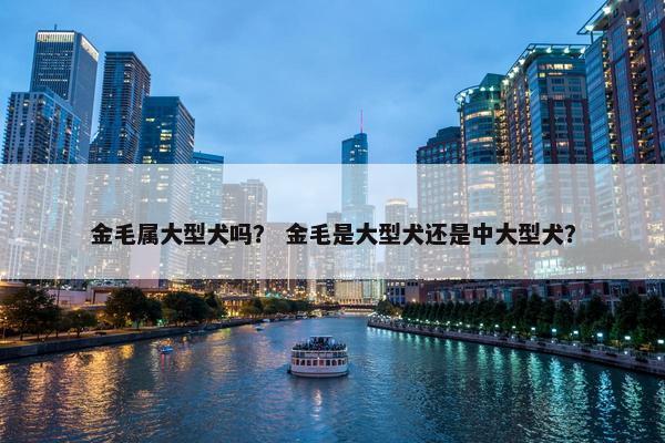 金毛属大型犬吗？ 金毛是大型犬还是中大型犬？