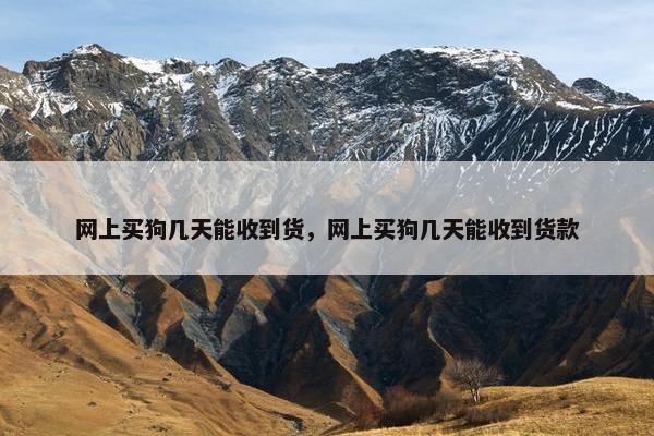 网上买狗几天能收到货，网上买狗几天能收到货款