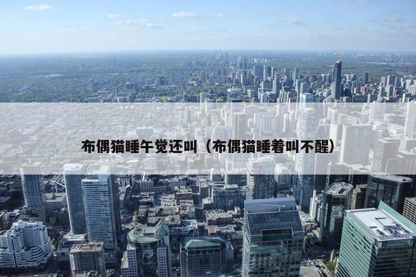 布偶猫睡午觉还叫（布偶猫睡着叫不醒）