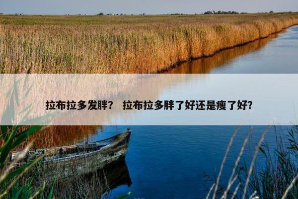 拉布拉多发胖？ 拉布拉多胖了好还是瘦了好？