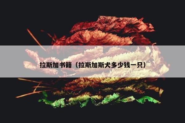 本书