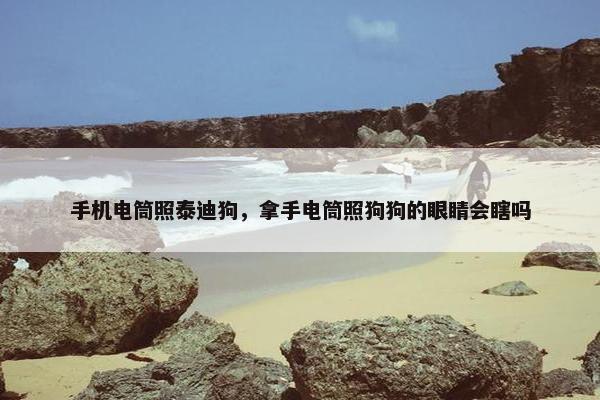 手机电筒照泰迪狗，拿手电筒照狗狗的眼睛会瞎吗