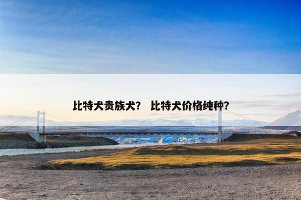 比特犬贵族犬？ 比特犬价格纯种？