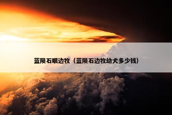 蓝陨石眼边牧（蓝陨石边牧幼犬多少钱）
