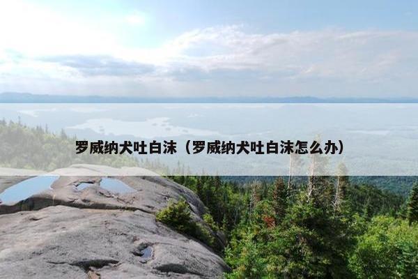 罗威纳犬吐白沫（罗威纳犬吐白沫怎么办）
