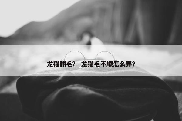 龙猫翻毛？ 龙猫毛不顺怎么弄？