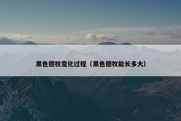 毛色 第7页
