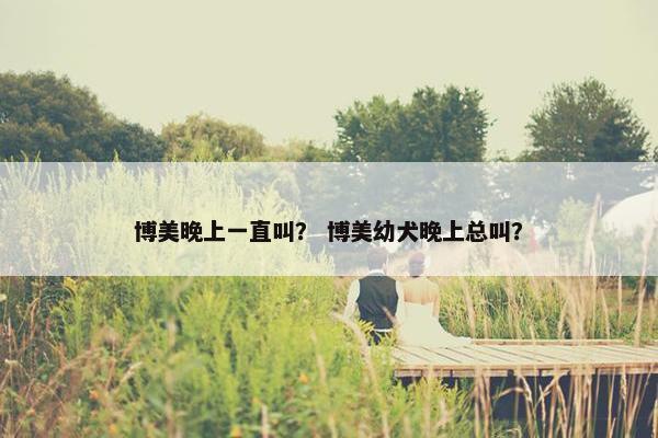 博美晚上一直叫？ 博美幼犬晚上总叫？