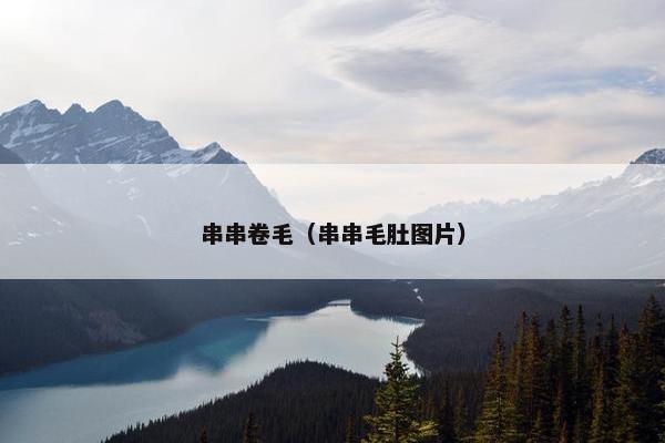 串串卷毛（串串毛肚图片）