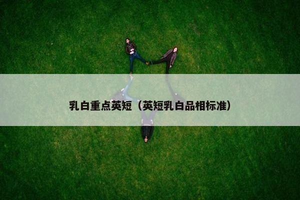 乳白重点英短（英短乳白品相标准）