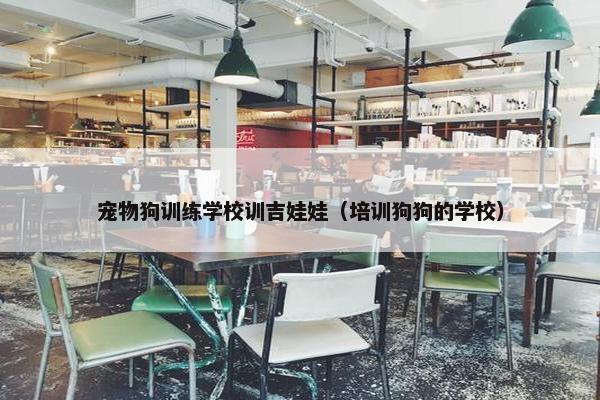 宠物狗训练学校训吉娃娃（培训狗狗的学校）