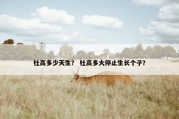 杜高多少天生？ 杜高多大停止生长个子？
