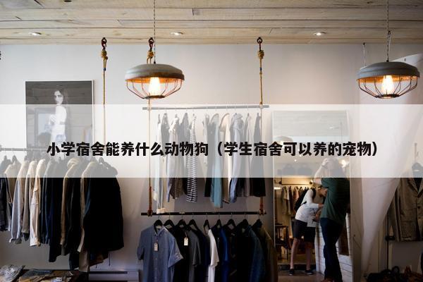 小学宿舍能养什么动物狗（学生宿舍可以养的宠物）