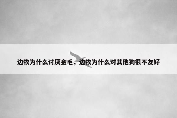边牧为什么讨厌金毛，边牧为什么对其他狗很不友好