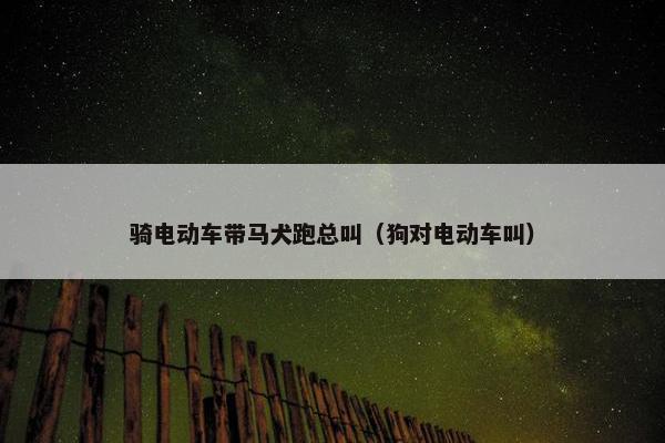 骑电动车带马犬跑总叫（狗对电动车叫）