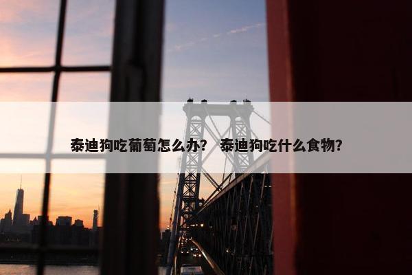 泰迪狗吃葡萄怎么办？ 泰迪狗吃什么食物？
