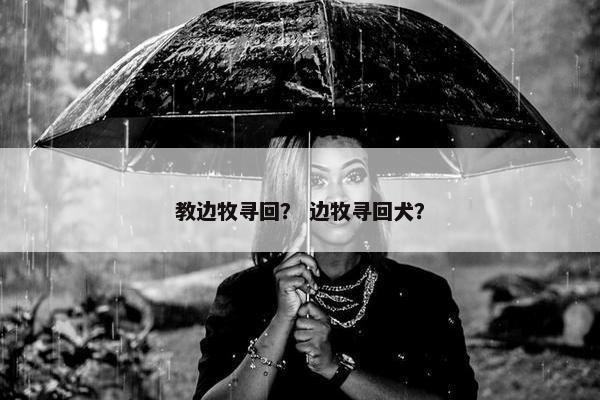 教边牧寻回？ 边牧寻回犬？