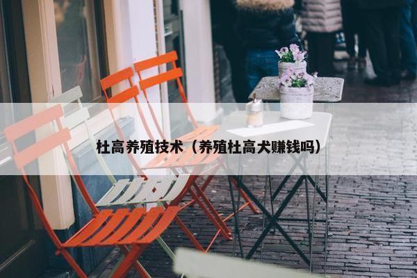 杜高养殖技术（养殖杜高犬赚钱吗）