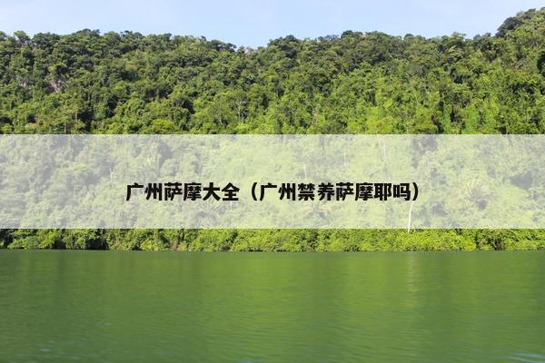 广州萨摩大全（广州禁养萨摩耶吗）