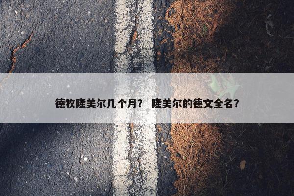 德牧隆美尔几个月？ 隆美尔的德文全名？