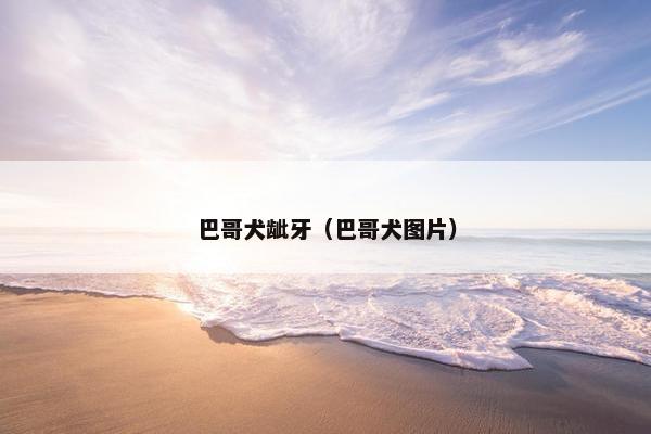 巴哥犬龇牙（巴哥犬图片）