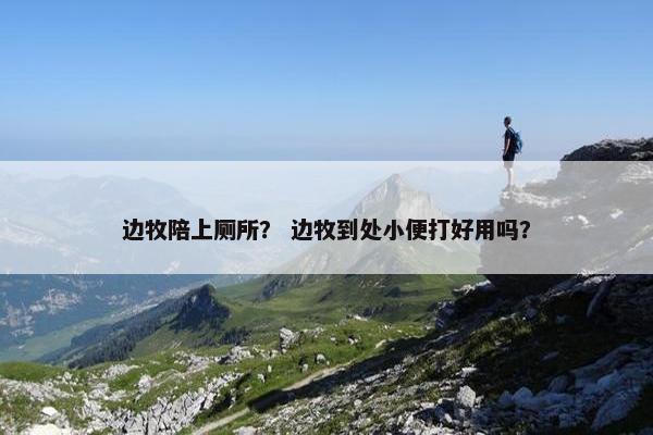 边牧陪上厕所？ 边牧到处小便打好用吗？