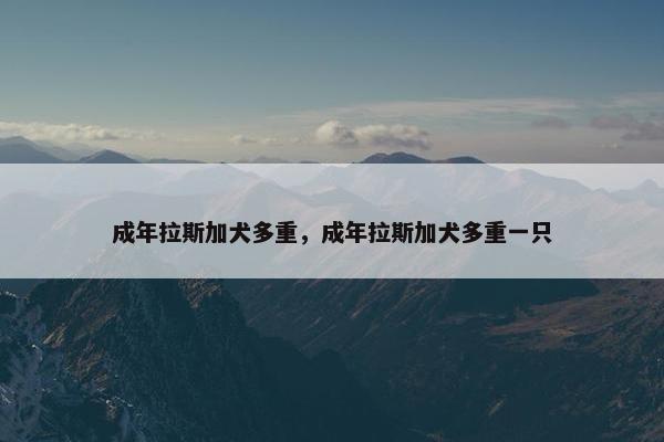 成年拉斯加犬多重，成年拉斯加犬多重一只