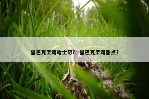 星巴克圣诞哈士奇？ 星巴克圣诞甜点？