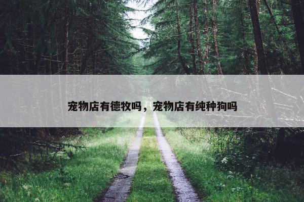 宠物店有德牧吗，宠物店有纯种狗吗