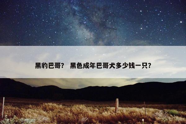 黑豹巴哥？ 黑色成年巴哥犬多少钱一只？
