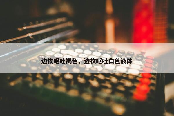 边牧呕吐褐色，边牧呕吐白色液体