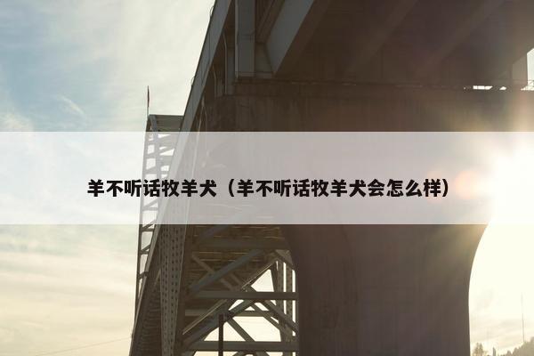 羊不听话牧羊犬（羊不听话牧羊犬会怎么样）