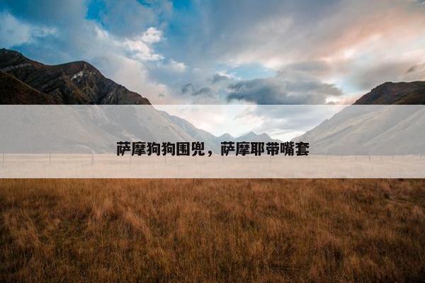 萨摩狗狗围兜，萨摩耶带嘴套