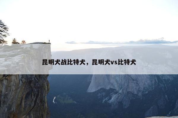 昆明犬战比特犬，昆明犬vs比特犬