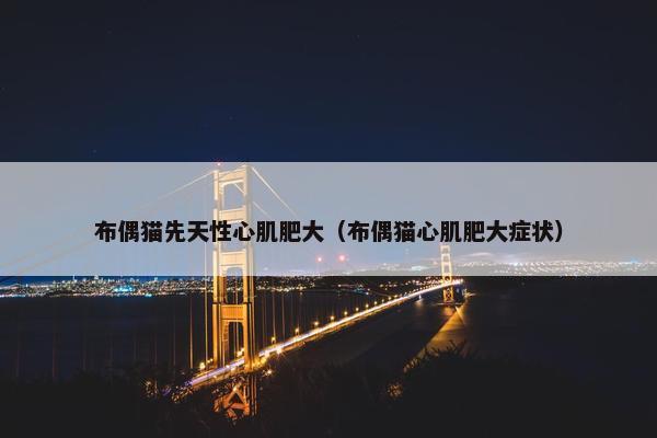 布偶猫先天性心肌肥大（布偶猫心肌肥大症状）