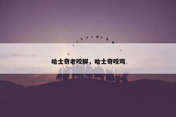 哈士奇老咬脚，哈士奇咬鸡