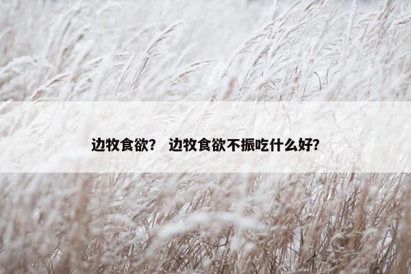 边牧食欲？ 边牧食欲不振吃什么好？