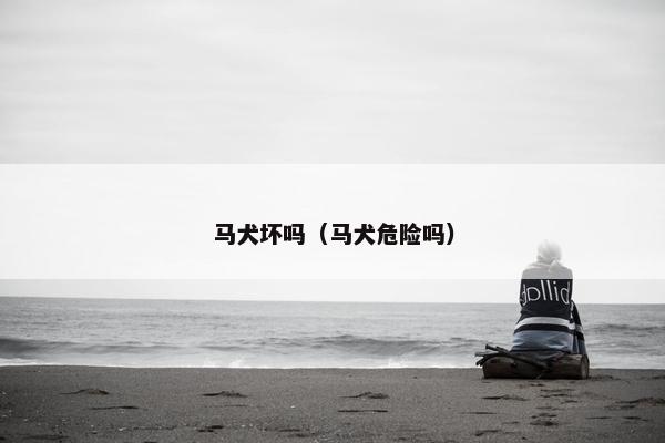 马犬坏吗（马犬危险吗）