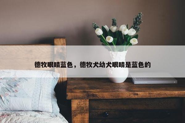 德牧眼睛蓝色，德牧犬幼犬眼睛是蓝色的