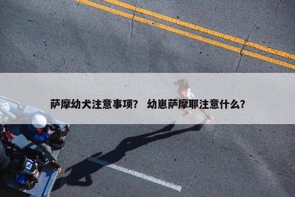 萨摩幼犬注意事项？ 幼崽萨摩耶注意什么？