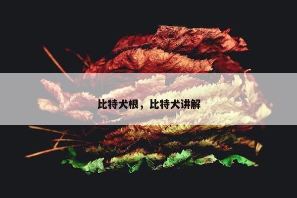 比特犬根，比特犬讲解