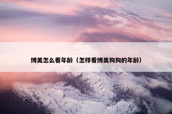 博美怎么看年龄（怎样看博美狗狗的年龄）