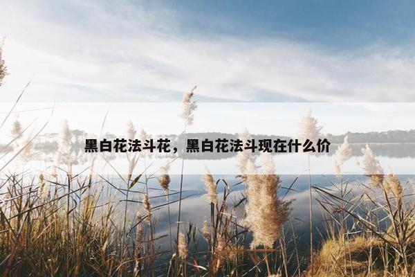黑白花法斗花，黑白花法斗现在什么价