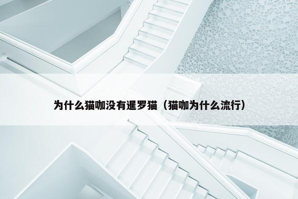 为什么猫咖没有暹罗猫（猫咖为什么流行）